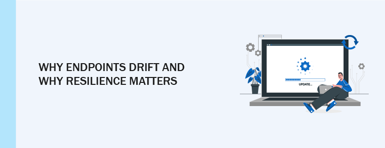 Absolute Resilience for Endpoints