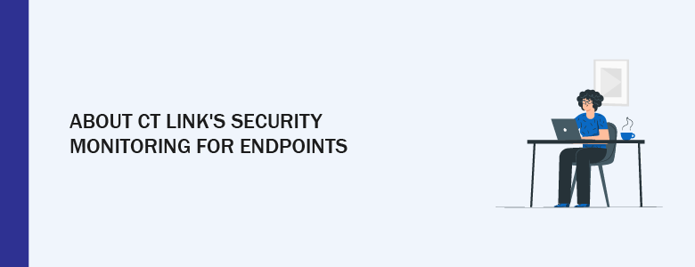 CT Link Services Endpoint Services