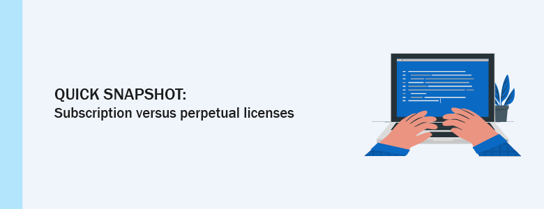 Microsoft Perpetual licenses vs subscription